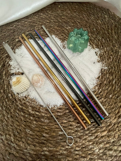 5 Pailles Acier Inoxydable - Multicolores Droites
